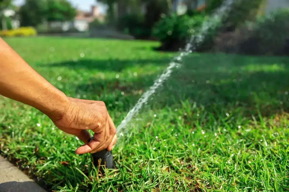 sprinkler business