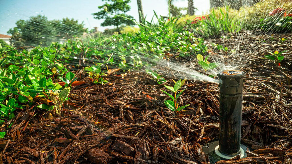 sprinkler irrigation