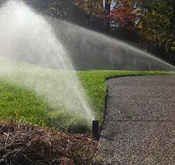 A sprinkler sprays water over a green lawn next to a curved paved pathway on a sunny day.